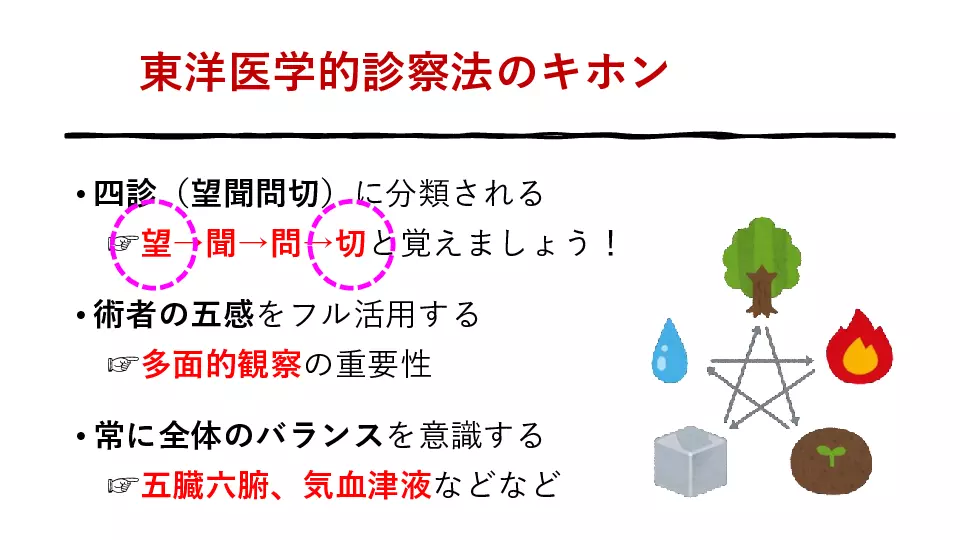 東洋医学へのいざない 診察編⑨ これまでにやった診察法の総まとめ